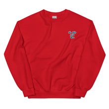 Load image into Gallery viewer, Red &quot;No&quot; Heavyweight Crewneck

